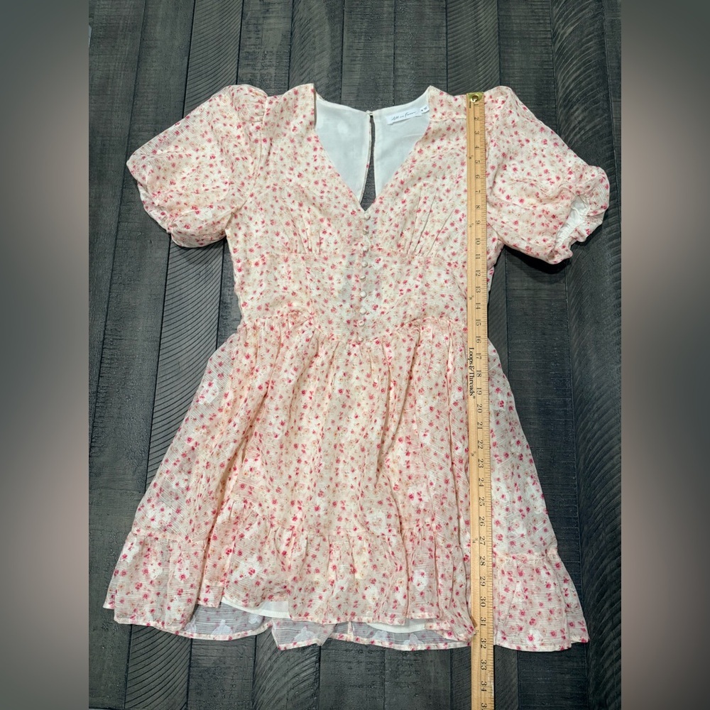 All in Favor Floral Puff Sleeve Mini Dress Cream Pink | Medium - Picture 7 of 10